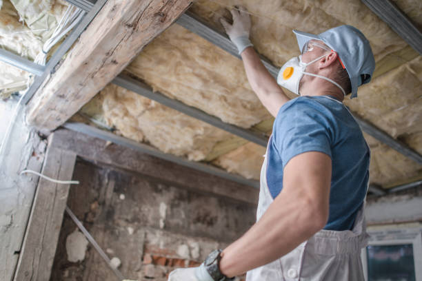 Best Commercial Insulation in Sedgwick, KS