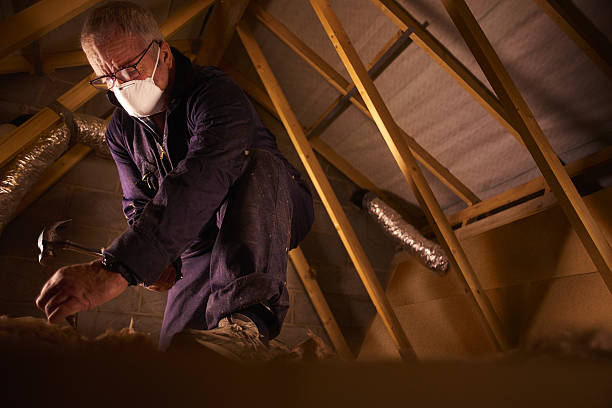 Best Insulation Installation Services in Sedgwick, KS